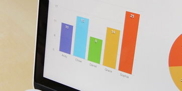 朝阳商业计划书与融资方案 专注信息咨询服务的战略布局